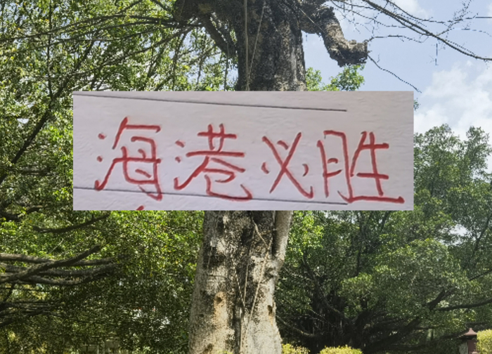 体育直播-前有奇塔 现有奥斯卡 海港旧将也喜欢度假途径母队|上海海港|奇塔迪尼|足协杯|奥斯卡-罗梅罗|足协_新浪体育_新浪新闻